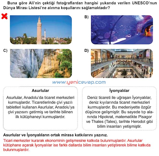 5. Sınıf Sosyal Bilgiler 1. Kitap Sayfa 141 142 143 144 145 146 147 Cevapları Meb