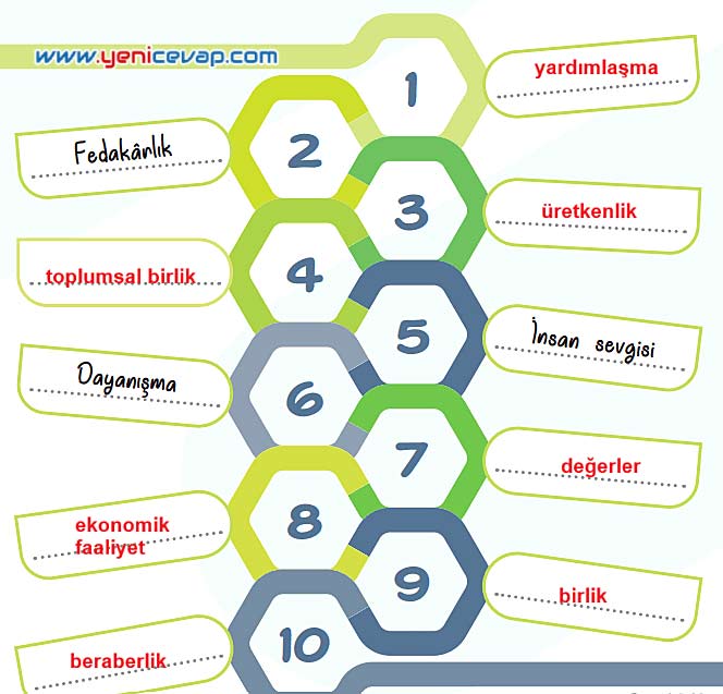 5. Sınıf Sosyal Bilgiler 1. Kitap Sayfa 35 37 42 43 44 Cevapları Meb