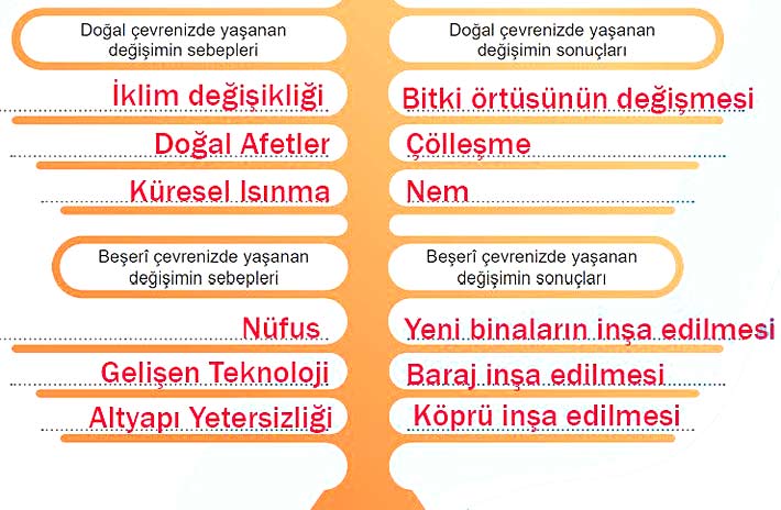 5. Sınıf Sosyal Bilgiler 1. Kitap Sayfa 62 63 64 65 66 68 69 70 71 Cevapları Meb
