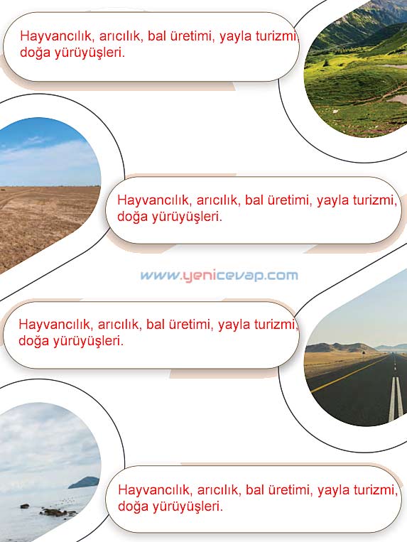 5. Sınıf Sosyal Bilgiler 2. Kitap Sayfa 111 112 113 114 Cevapları Meb