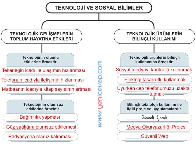 5. Sınıf Sosyal Bilgiler 2. Kitap Sayfa 134 136 138 141 142 143 144 Cevapları Meb