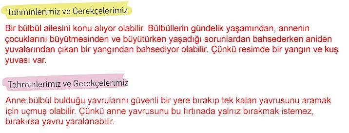 5. Sınıf Türkçe 1. Kitap Sayfa 16 17 20 21 Cevapları Meb