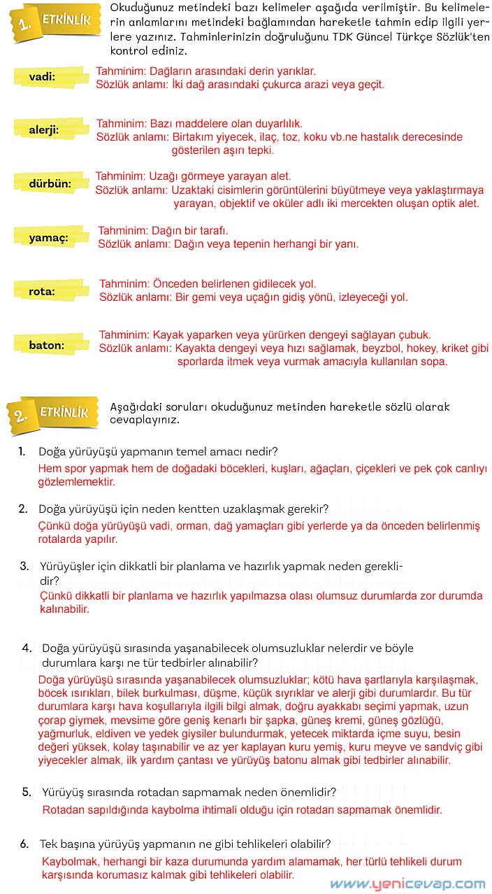5. Sınıf Türkçe 2. Kitap Sayfa 116 117 118 119 Cevapları Meb
