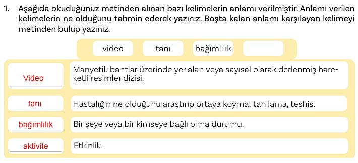 5. Sınıf Türkçe 2. Kitap Sayfa 152 153 154 155 Cevapları Meb