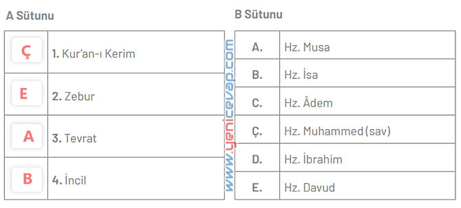 6. Sınıf Din Kültürü Kitabı Sayfa 33 34 35 37 39 Cevapları Meb