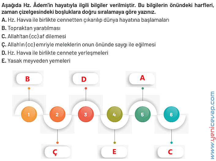 6. Sınıf Din Kültürü Kitabı Sayfa 33 34 35 37 39 Cevapları Meb