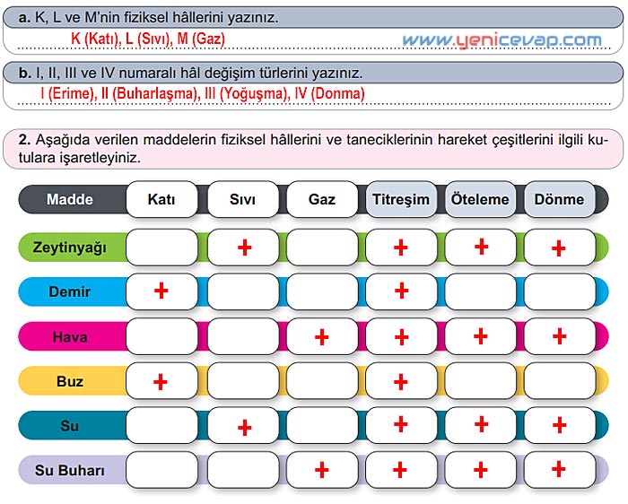 6. Sınıf Fen Bilimleri Kitabı Sayfa 97 98 99 100 101 102 Cevapları Meb