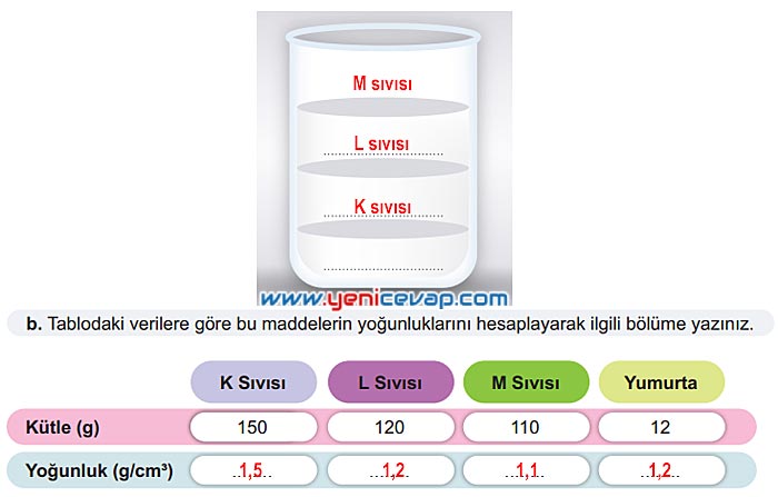 6. Sınıf Fen Bilimleri Kitabı Sayfa 108 109 110 111 112 Cevapları Meb