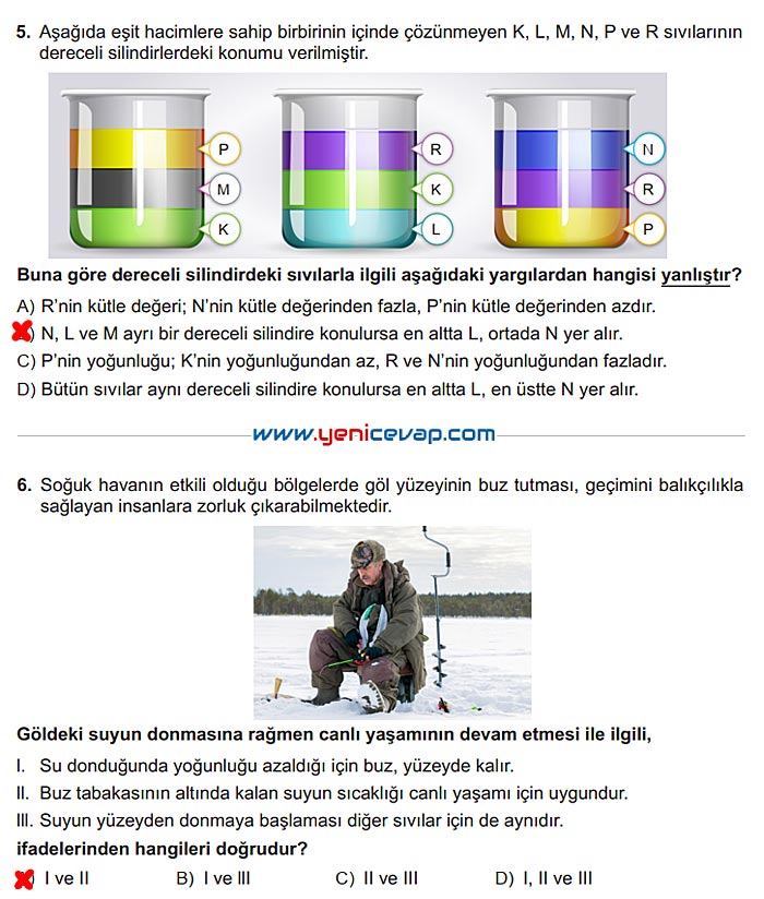 6. Sınıf Fen Bilimleri Kitabı Sayfa 108 109 110 111 112 Cevapları Meb
