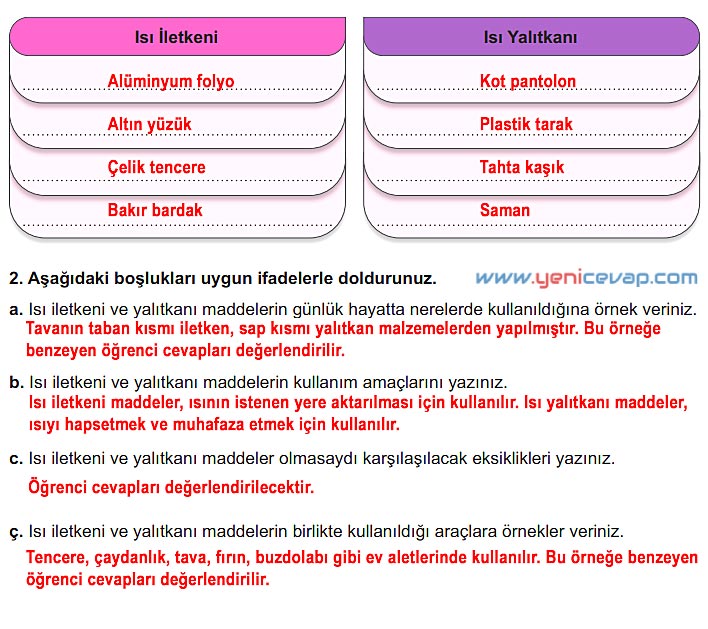 6. Sınıf Fen Bilimleri Kitabı Sayfa 113 114 115 116 117 Cevapları Meb