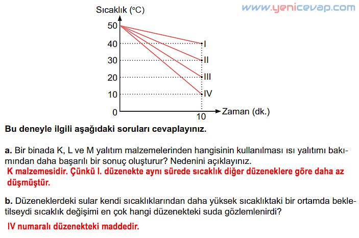 6. Sınıf Fen Bilimleri Kitabı Sayfa 113 114 115 116 117 Cevapları Meb