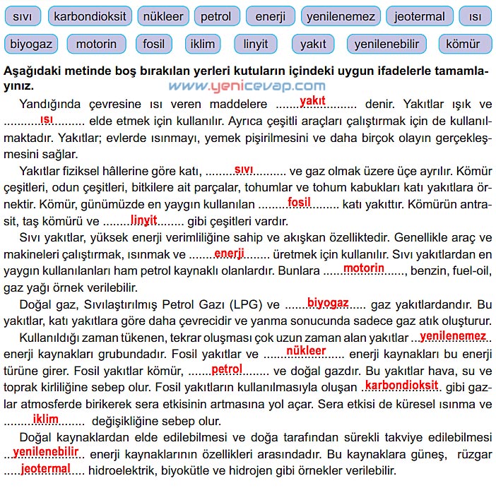 6. Sınıf Fen Bilimleri Kitabı Sayfa 118 119 120 121 122 Cevapları Meb