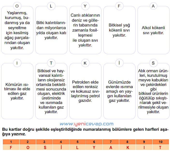 6. Sınıf Fen Bilimleri Kitabı Sayfa 123 124 125 126 127 Cevapları Meb