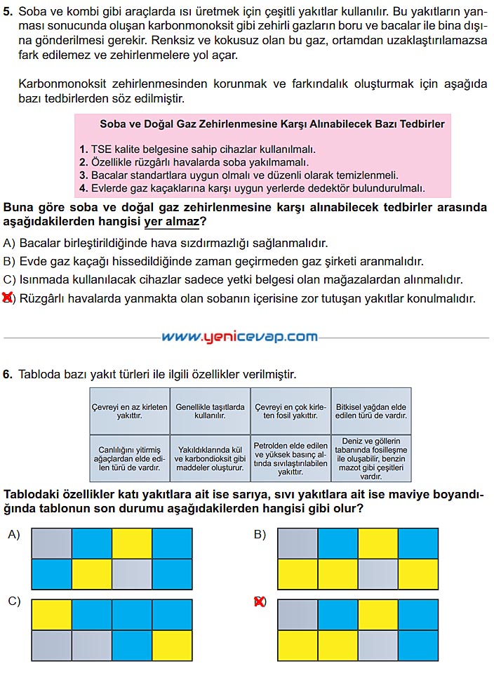 6. Sınıf Fen Bilimleri Kitabı Sayfa 123 124 125 126 127 Cevapları Meb
