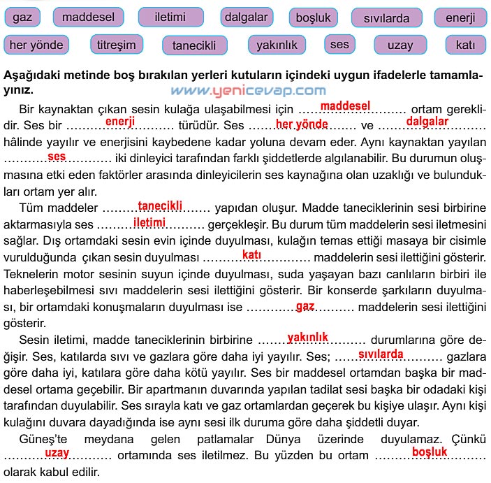 6. Sınıf Fen Bilimleri Kitabı Sayfa 134 135 136 137 138 Cevapları Meb