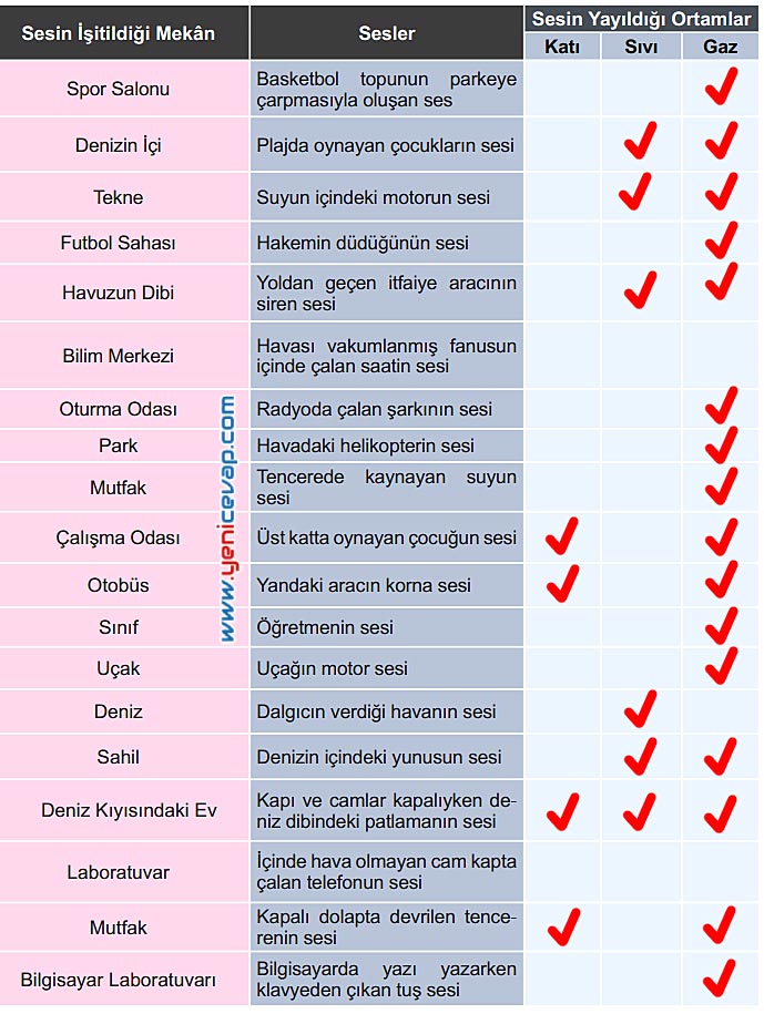 6. Sınıf Fen Bilimleri Kitabı Sayfa 134 135 136 137 138 Cevapları Meb