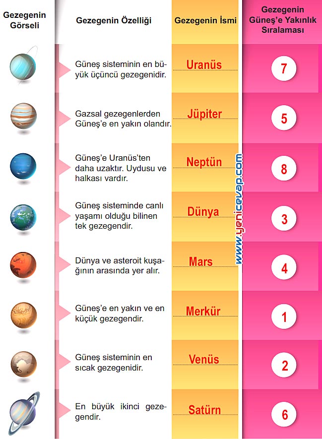 6. Sınıf Fen Bilimleri Kitabı Sayfa 12 13 14 15 16 Cevapları Meb