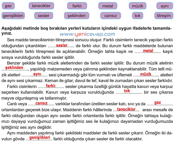 6. Sınıf Fen Bilimleri Kitabı Sayfa 139 140 141 142 143 144 Cevapları Meb