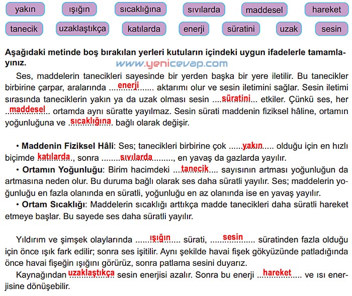 6. Sınıf Fen Bilimleri Kitabı Sayfa 145 146 147 148 149 Cevapları Meb