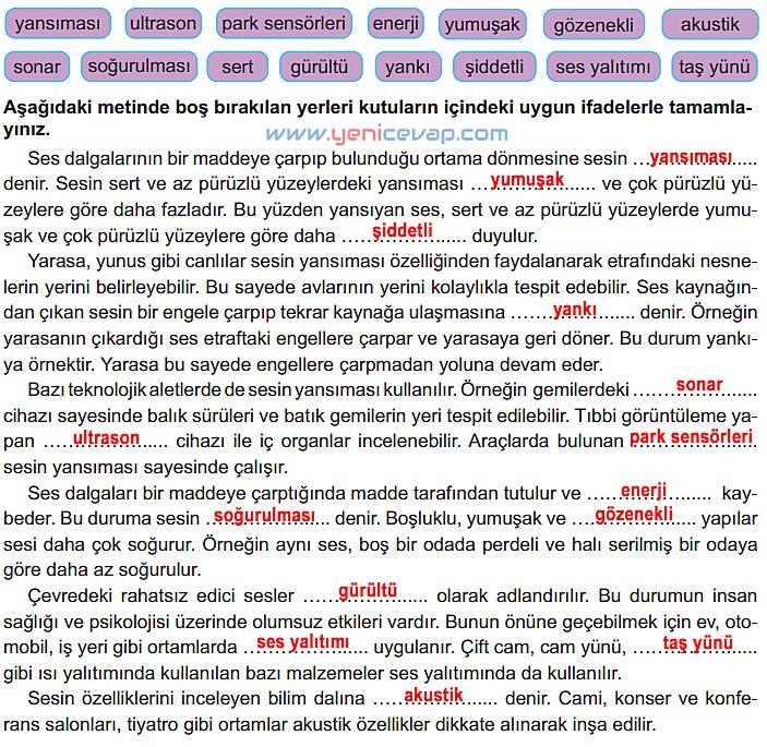 6. Sınıf Fen Bilimleri Kitabı Sayfa 150 151 152 153 154 Cevapları Meb