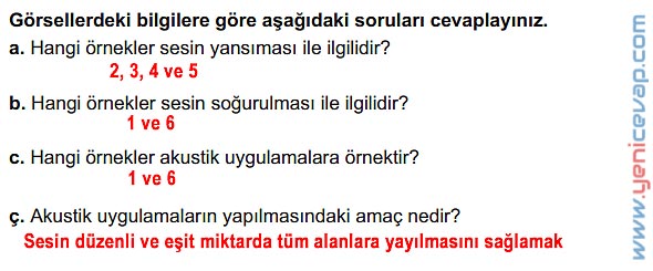 6. Sınıf Fen Bilimleri Kitabı Sayfa 155 156 157 158 159 160 Cevapları Meb