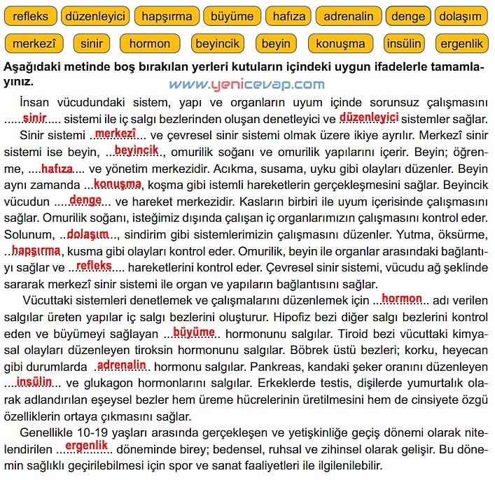 6. Sınıf Fen Bilimleri Kitabı Sayfa 166 168 169 170 171 Cevapları Meb