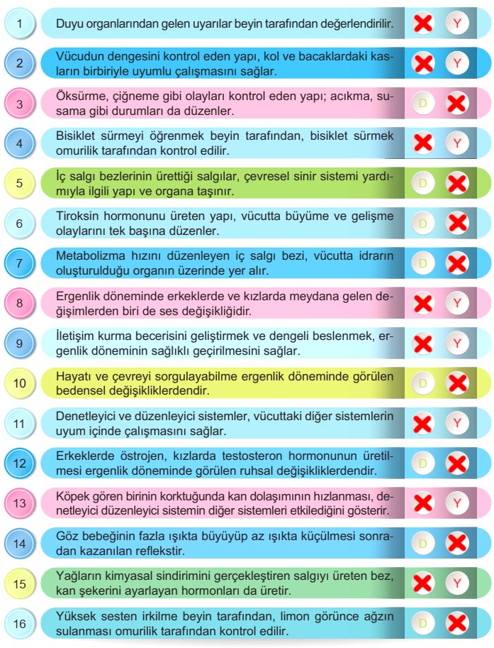 6. Sınıf Fen Bilimleri Kitabı Sayfa 166 168 169 170 171 Cevapları Meb