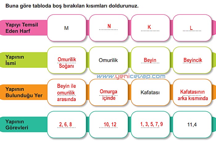6. Sınıf Fen Bilimleri Kitabı Sayfa 166 168 169 170 171 Cevapları Meb