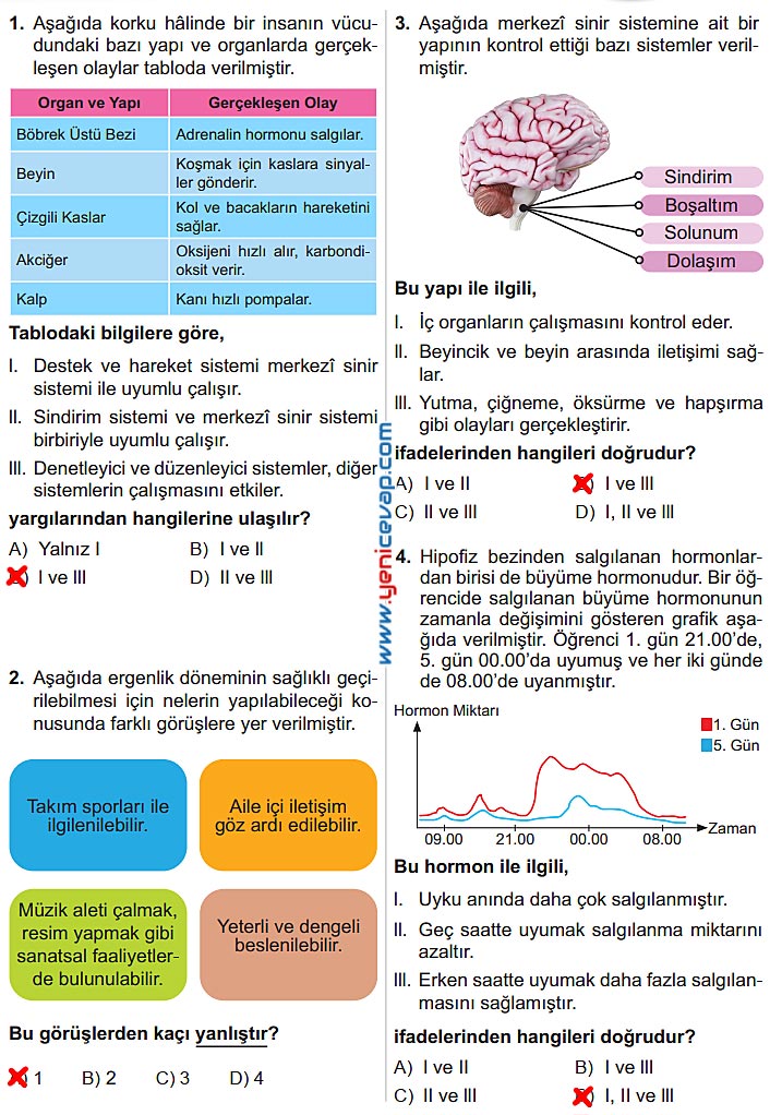 6. Sınıf Fen Bilimleri Kitabı Sayfa 172 173 174 175 176 177 Cevapları Meb