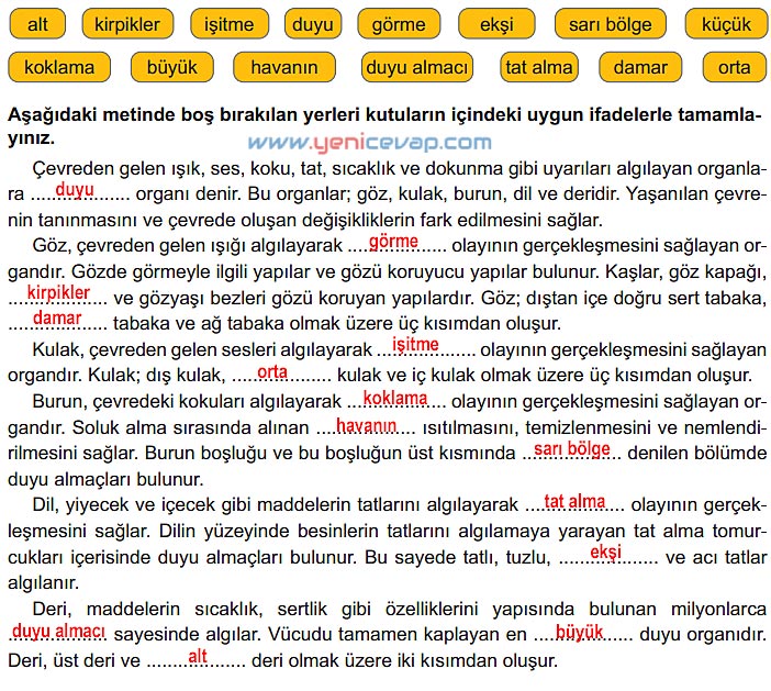 6. Sınıf Fen Bilimleri Kitabı Sayfa 178 179 180 181 182 Cevapları Meb