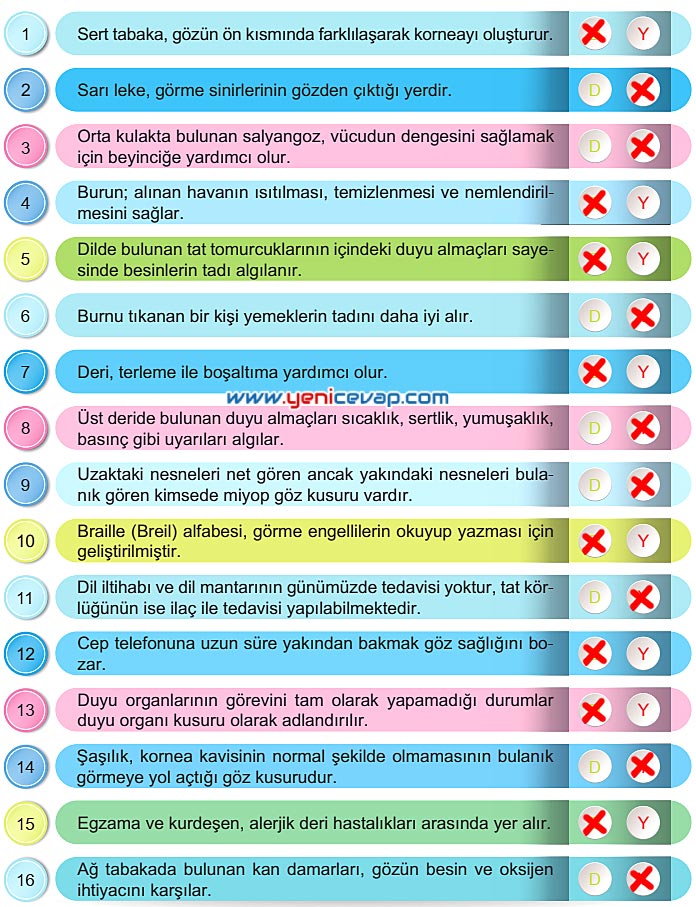 6. Sınıf Fen Bilimleri Kitabı Sayfa 178 179 180 181 182 Cevapları Meb