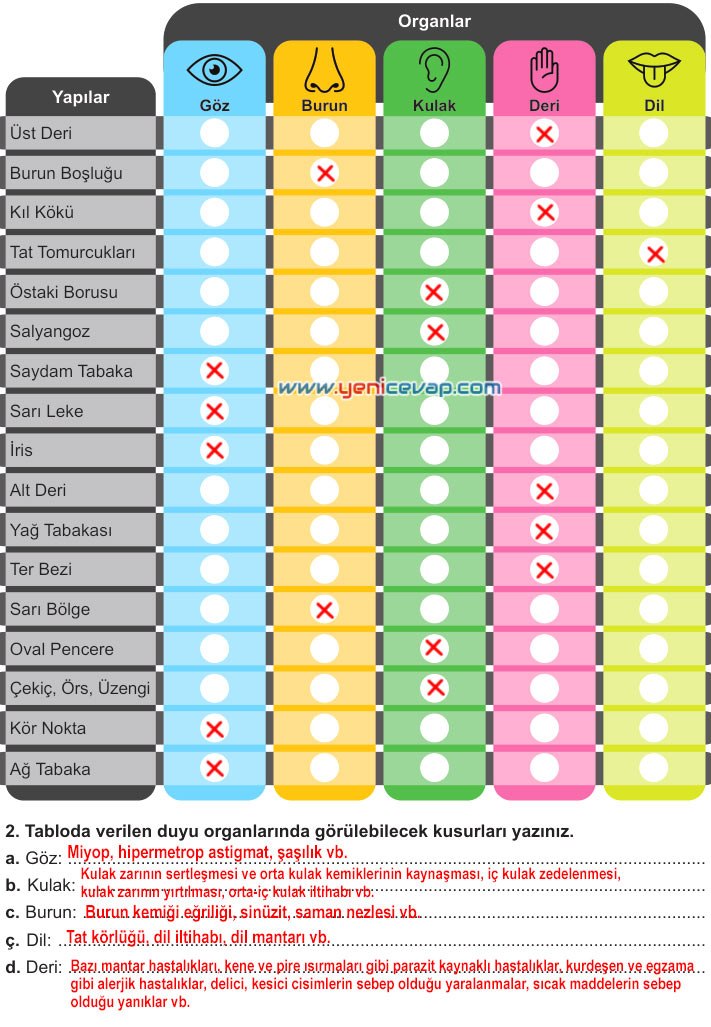 6. Sınıf Fen Bilimleri Kitabı Sayfa 183 184 185 186 187 Cevapları Meb