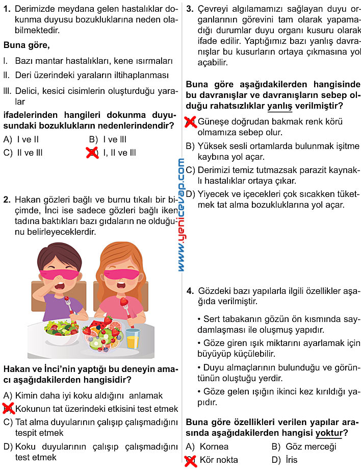 6. Sınıf Fen Bilimleri Kitabı Sayfa 183 184 185 186 187 Cevapları Meb