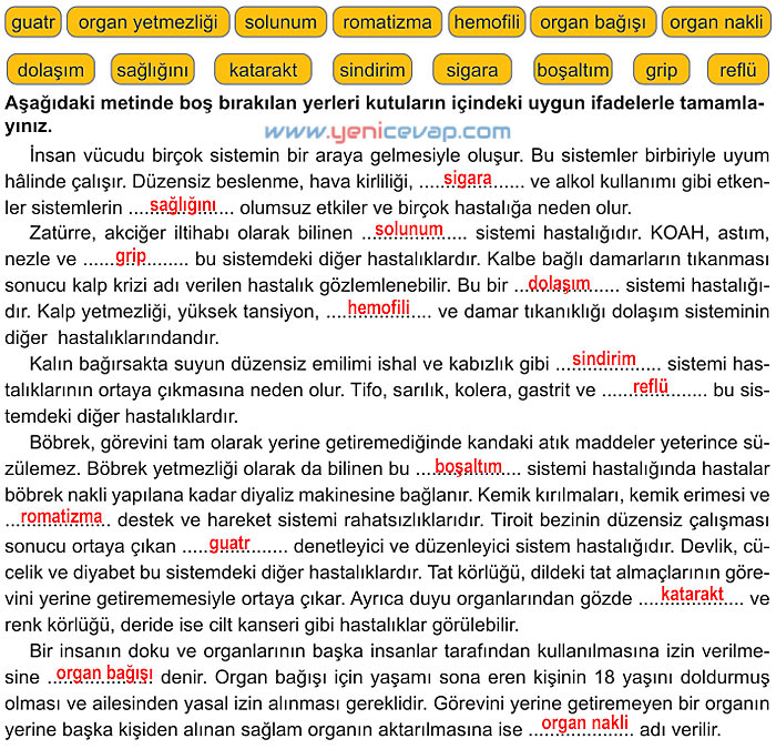 6. Sınıf Fen Bilimleri Kitabı Sayfa 183 184 185 186 187 Cevapları Meb