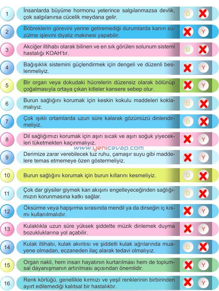 6. Sınıf Fen Bilimleri Kitabı Sayfa 183 184 185 186 187 Cevapları Meb