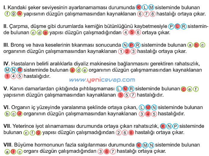 6. Sınıf Fen Bilimleri Kitabı Sayfa 188 189 190 191 192 Cevapları Meb