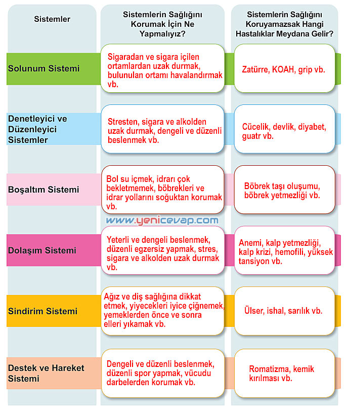 6. Sınıf Fen Bilimleri Kitabı Sayfa 188 189 190 191 192 Cevapları Meb