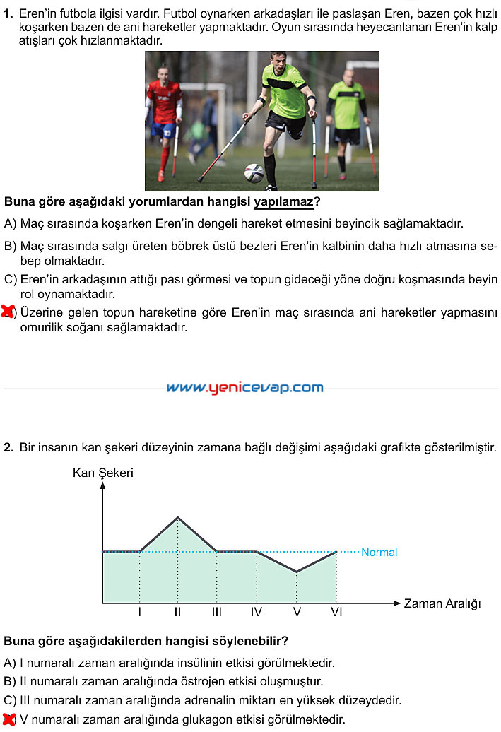 6. Sınıf Fen Bilimleri Kitabı Sayfa 193 194 195 196 197 Cevapları Meb
