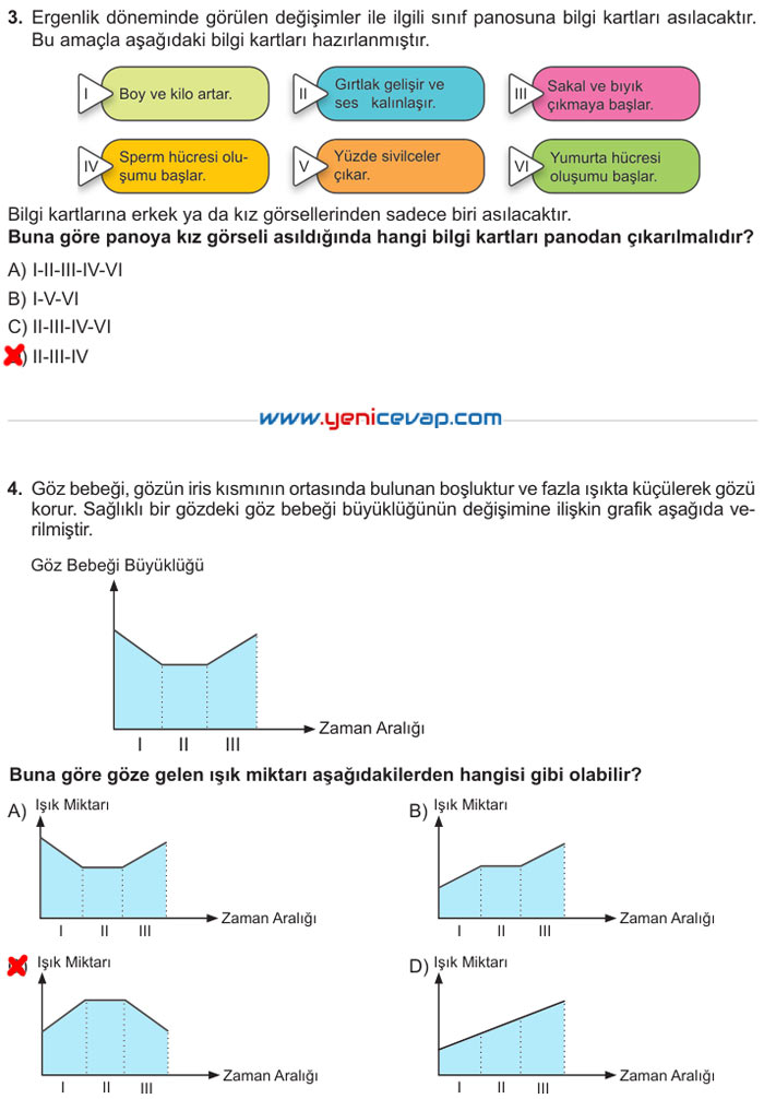 6. Sınıf Fen Bilimleri Kitabı Sayfa 193 194 195 196 197 Cevapları Meb