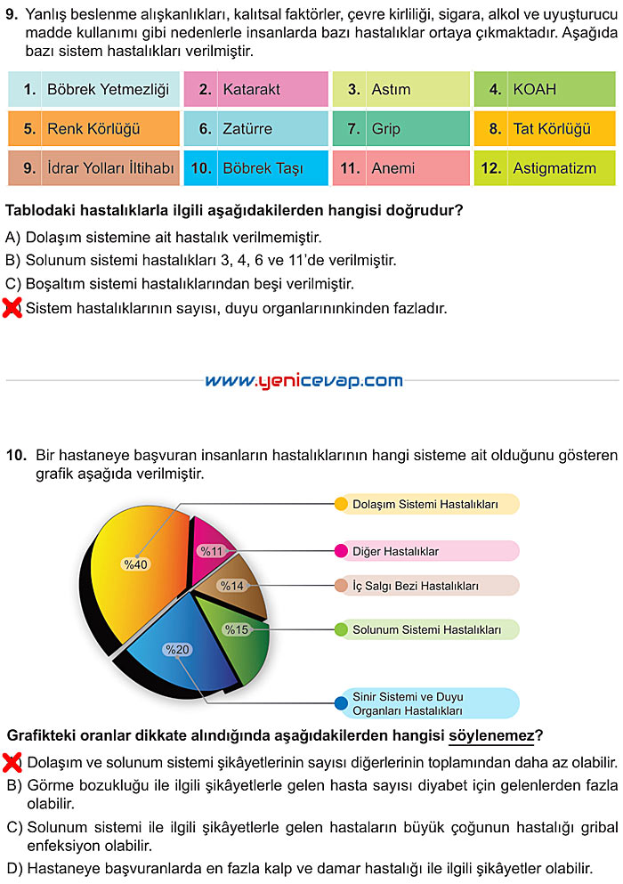 6. Sınıf Fen Bilimleri Kitabı Sayfa 198 200 201 202 203 Cevapları Meb