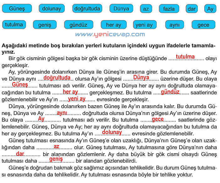 6. Sınıf Fen Bilimleri Kitabı Sayfa 17 18 19 20 21 Cevapları Meb