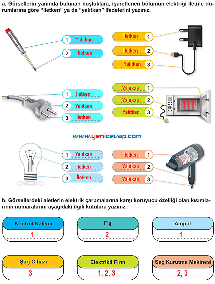 6. Sınıf Fen Bilimleri Kitabı Sayfa 198 200 201 202 203 Cevapları Meb