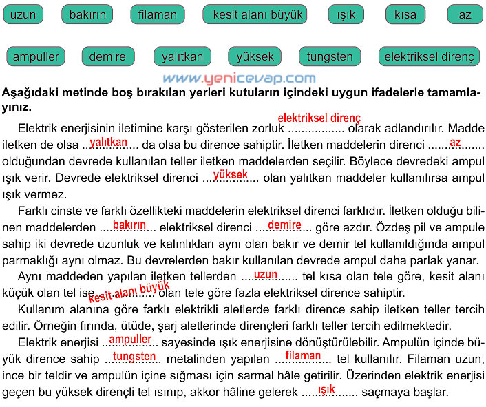 6. Sınıf Fen Bilimleri Kitabı Sayfa 204 205 206 207 208 Cevapları Meb