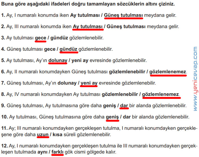 6. Sınıf Fen Bilimleri Kitabı Sayfa 22 23 24 25 26 Cevapları Meb
