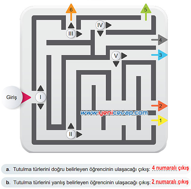 6. Sınıf Fen Bilimleri Kitabı Sayfa 22 23 24 25 26 Cevapları Meb