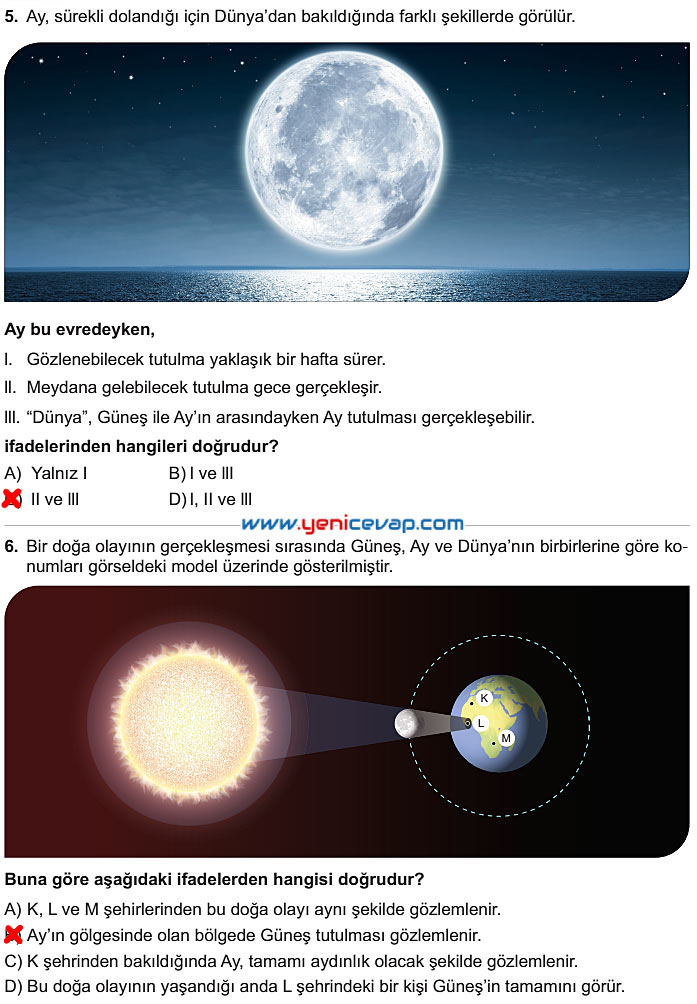 6. Sınıf Fen Bilimleri Kitabı Sayfa 27 28 29 30 31 Cevapları Meb