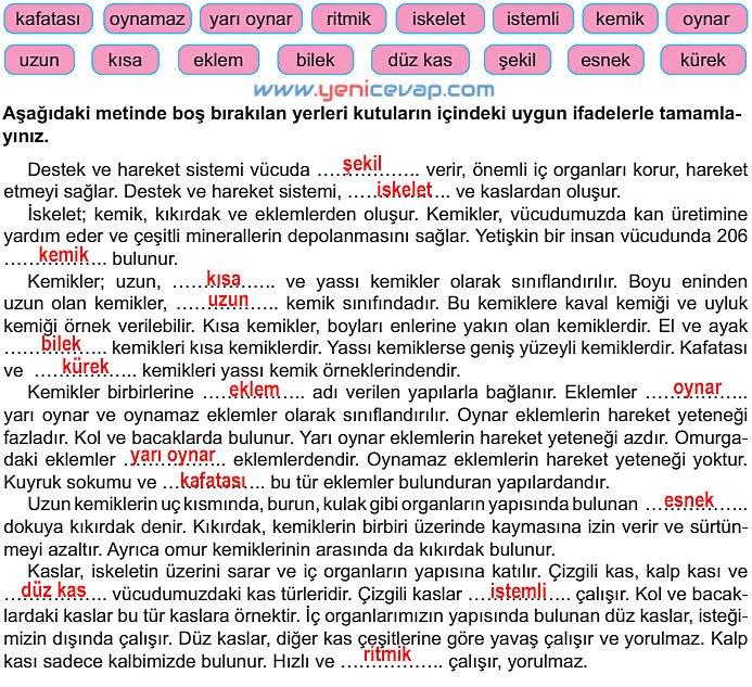 6. Sınıf Fen Bilimleri Kitabı Sayfa 32 34 35 36 37 38 Cevapları Meb