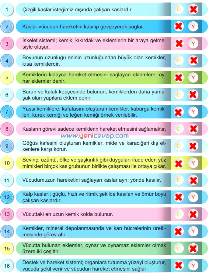 6. Sınıf Fen Bilimleri Kitabı Sayfa 32 34 35 36 37 38 Cevapları Meb