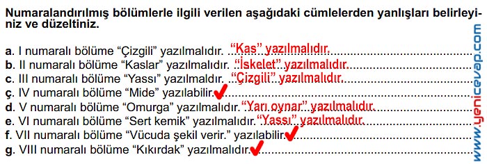 6. Sınıf Fen Bilimleri Kitabı Sayfa 32 34 35 36 37 38 Cevapları Meb