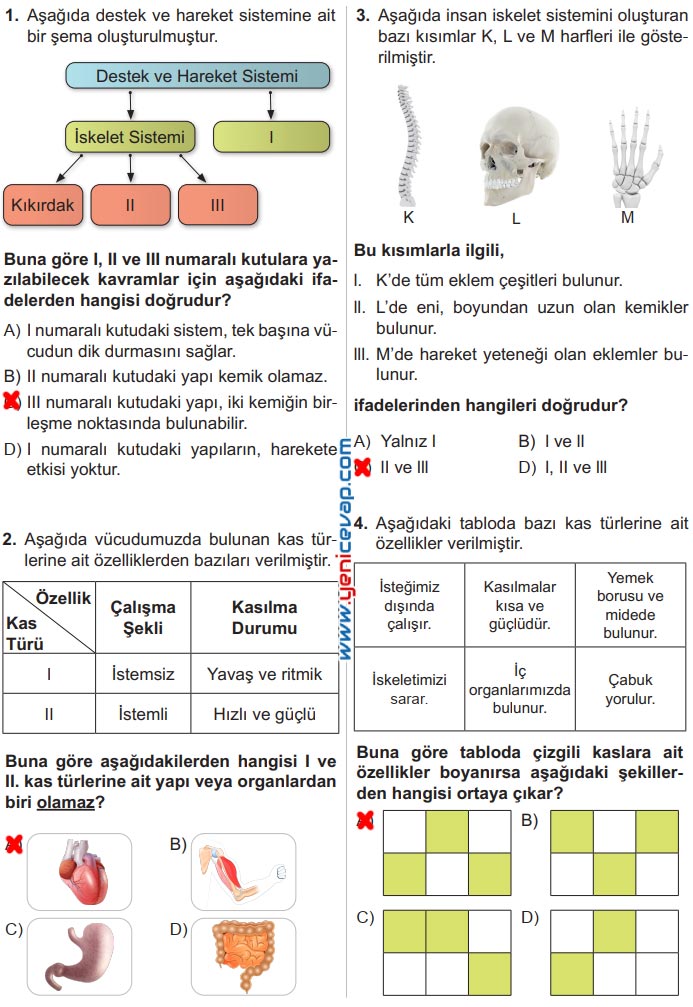6. Sınıf Fen Bilimleri Kitabı Sayfa 32 34 35 36 37 38 Cevapları Meb